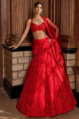 Red Paisley Lehenga Set