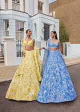 Powder Blue Floral Lehenga Set