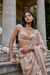 Rose Gold Sequin Saree