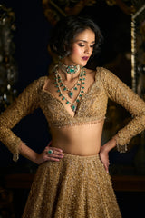 Gold Three-Dimensional Lehenga Set