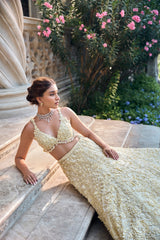 Yellow Three-Dimensional Lehenga Set