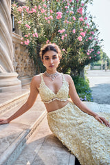 Yellow Three-Dimensional Lehenga Set