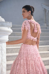 Pink Cut Work Lehenga Set