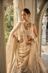 Nude Chandelier Lehenga Set