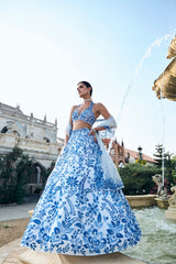 Blue Applique Lehenga Set