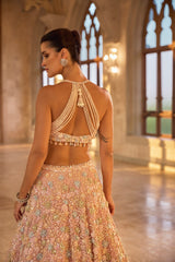 Multi-Coloured Three-Dimensional Floral Lehenga Set