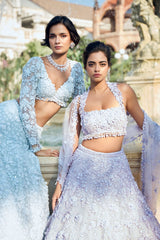 Powder Blue Three-Dimensional Lehenga Set