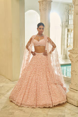 Powder Pink Floral Lehenga Set