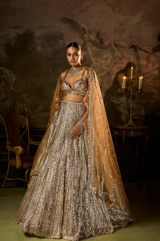 Gold Silver Lehenga Set