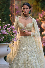 Sage Green Sequin Lehenga Set