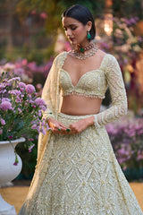 Sage Green Sequin Lehenga Set