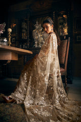 Nude Applique Saree