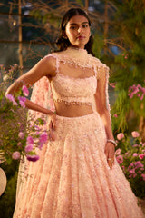 Candy Pink Three-Dimensional Lehenga Set
