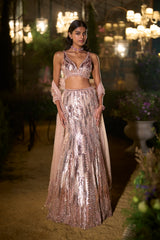 Rose Gold Fit & Flare Skirt Set