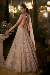 Coffee Sequin Lehenga Set