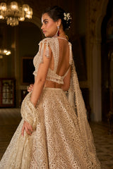 Dark Beige Thread Work Lehenga Set