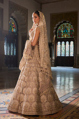 Champagne Pearl Lehenga Set