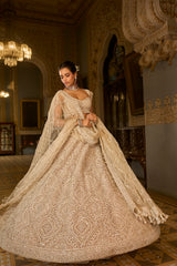 Dark Beige Thread Work Lehenga Set