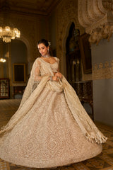 Dark Beige Thread Work Lehenga Set