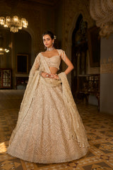 Dark Beige Thread Work Lehenga Set