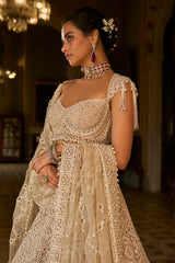 Dark Beige Thread Work Lehenga Set