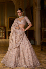 Rose Gold Tissue Lehenga Set