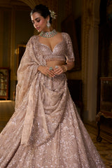 Rose Gold Tissue Lehenga Set