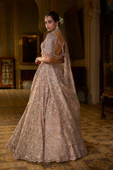 Rose Gold Tissue Lehenga Set