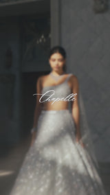 Powder Blue Sequin Lehenga Set