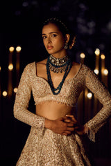 Rose Gold Trail Lehenga Set