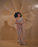 Sequin Net Saree