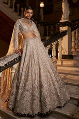 Nude Silver Cut Work Lehenga Set