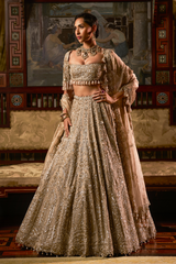 Gold Silver Tissue Lehenga Set