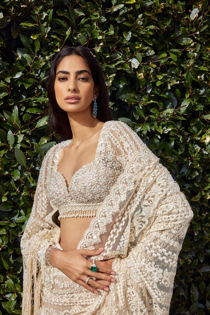 Powder Peach Stripe Saree