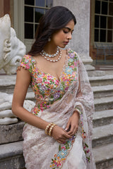 Nude Multi - Coloured Saree