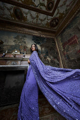 Mauve Sequin Saree