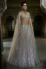 Champagne Mirror Work Lehenga Set