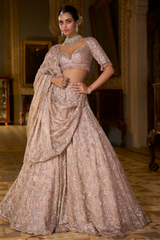 Rose Gold Tissue Lehenga Set