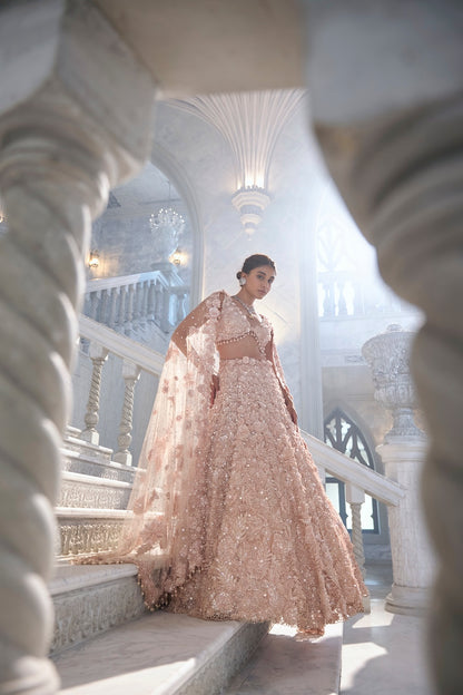 Powder Peach Cut Work Lehenga Set