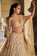 Nude Pearl Lehenga Set