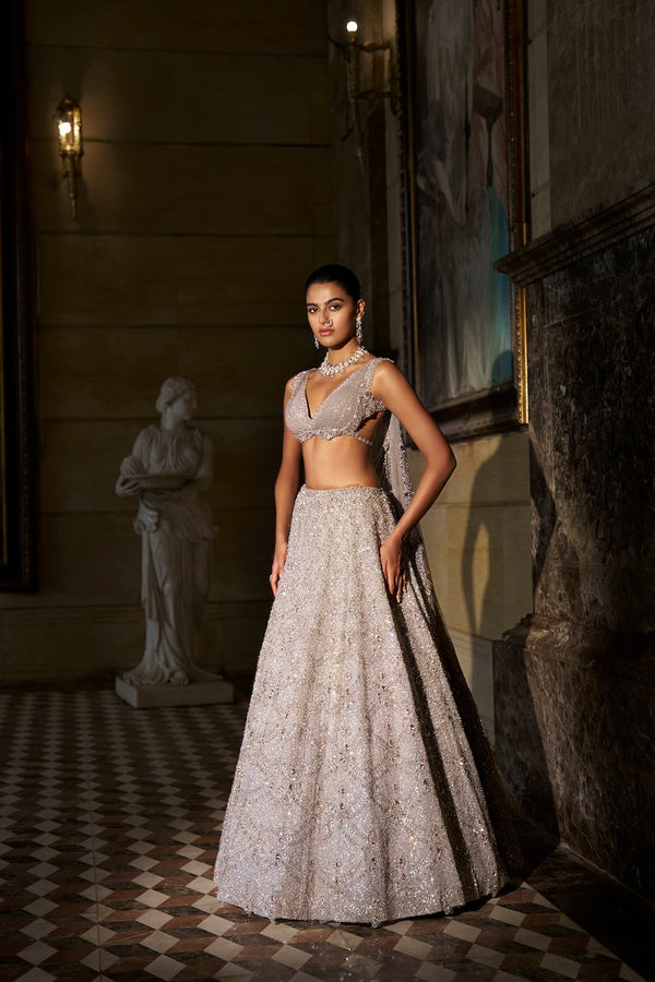 Pink Crystal Lehenga Set