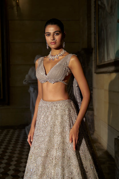 Pink Crystal Lehenga Set