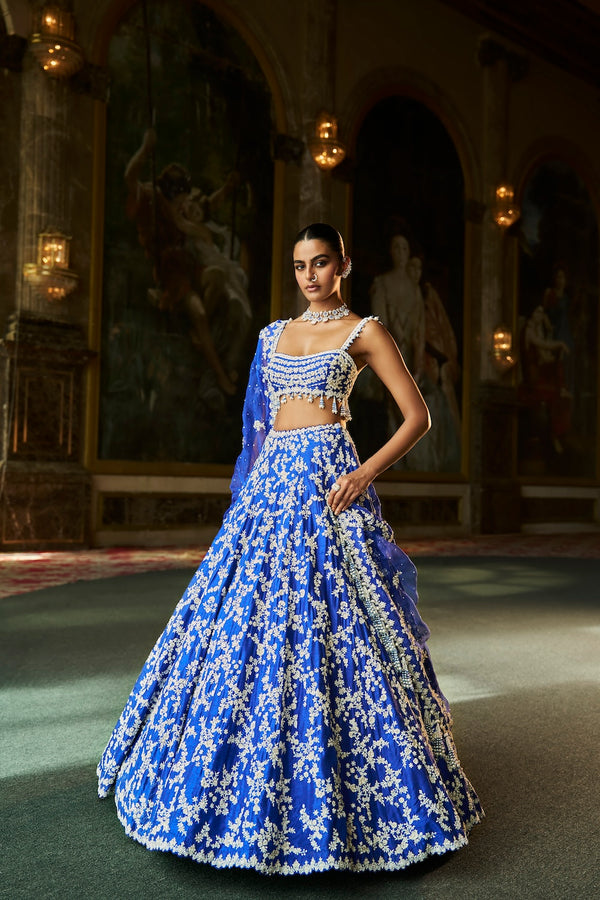 Blue Thread Work Lehenga Set