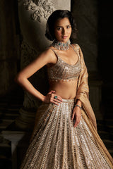 Gold Mirror Work Lehenga Set