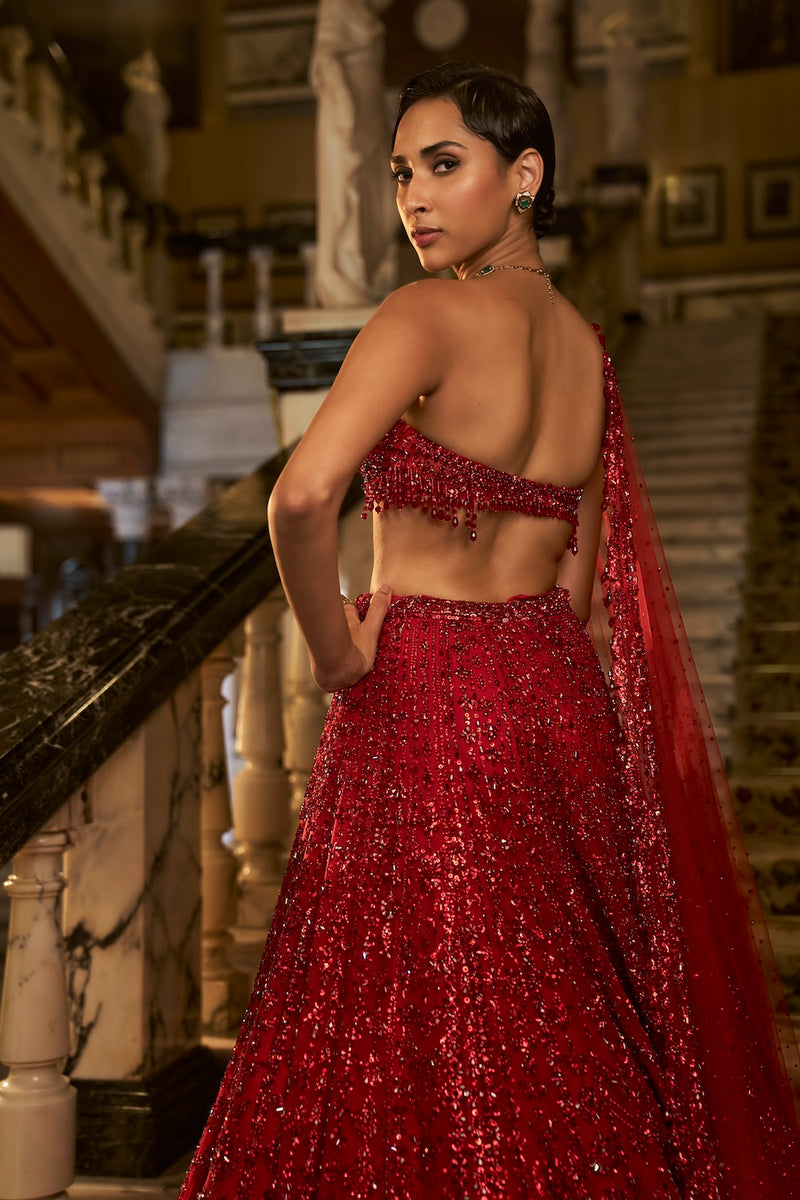 Red Crystal Lehenga Set