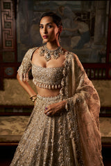 Gold Silver Tissue Lehenga Set