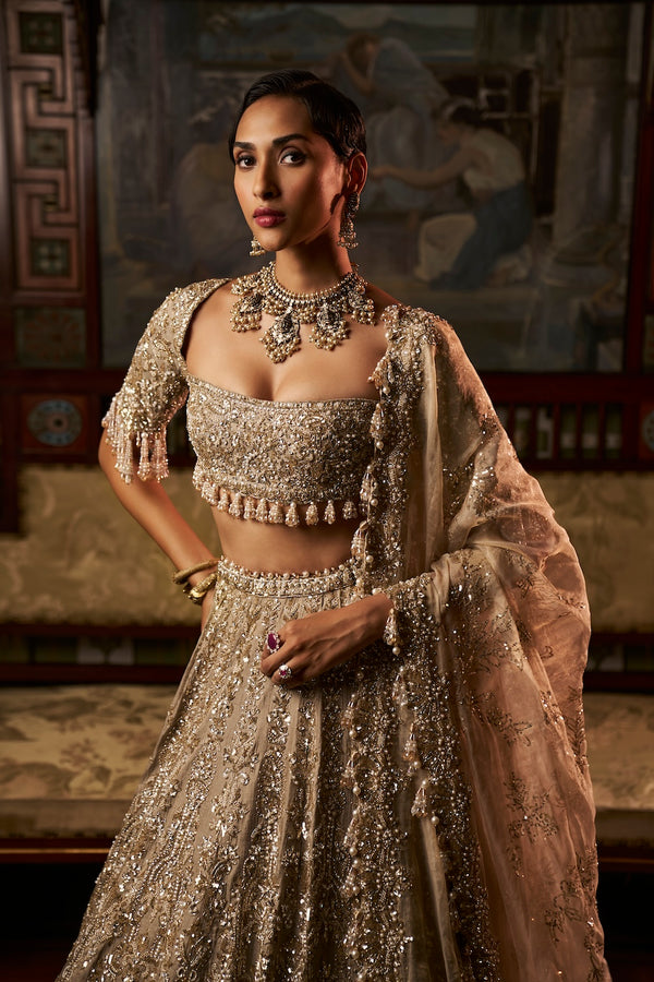 Gold Silver Tissue Lehenga Set