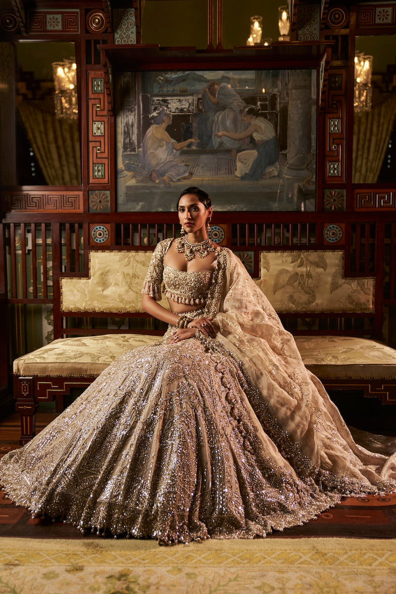 Gold Silver Tissue Lehenga Set