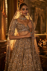 Antique Gold Tissue Lehenga Set