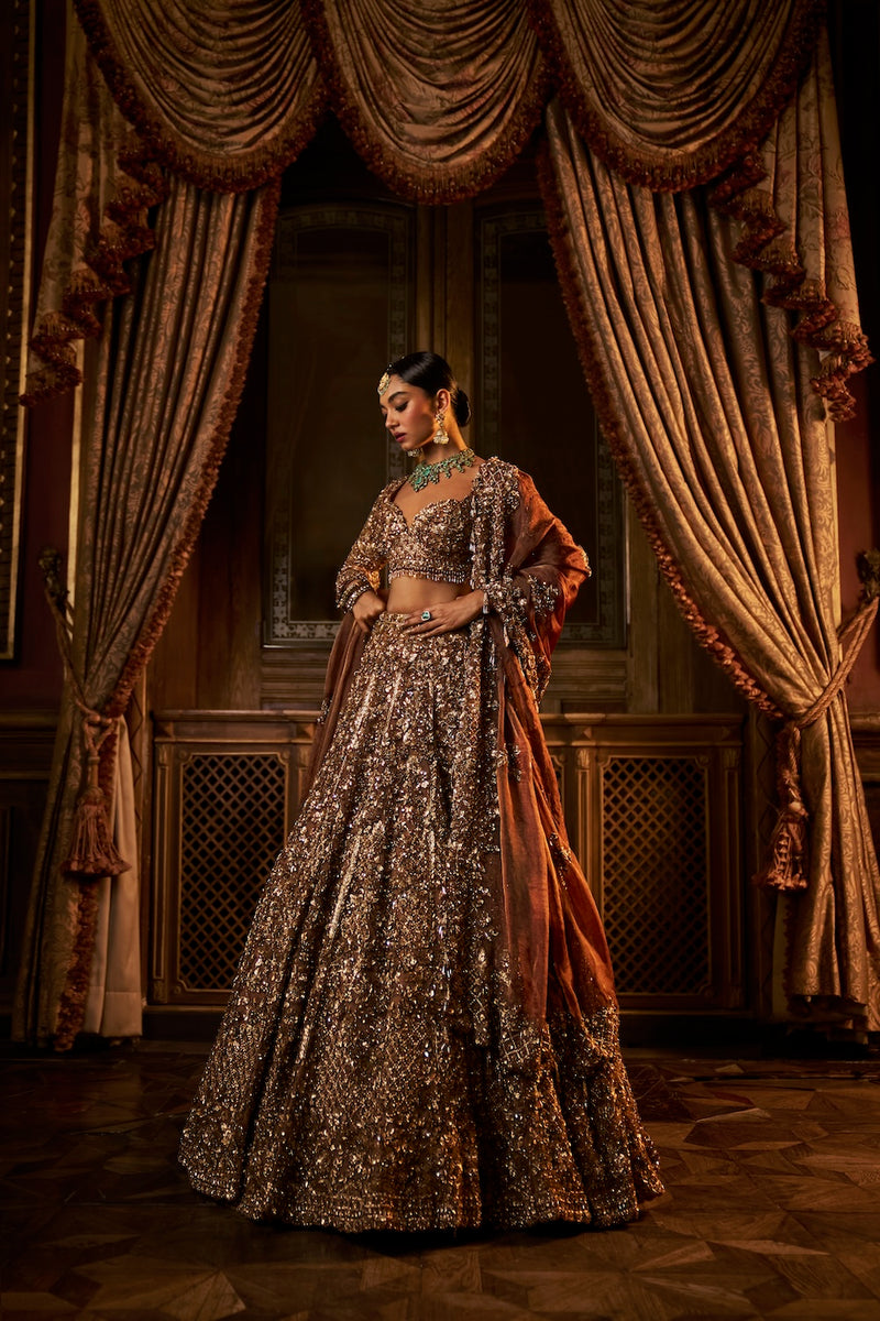 Bronze Tissue Lehenga Set